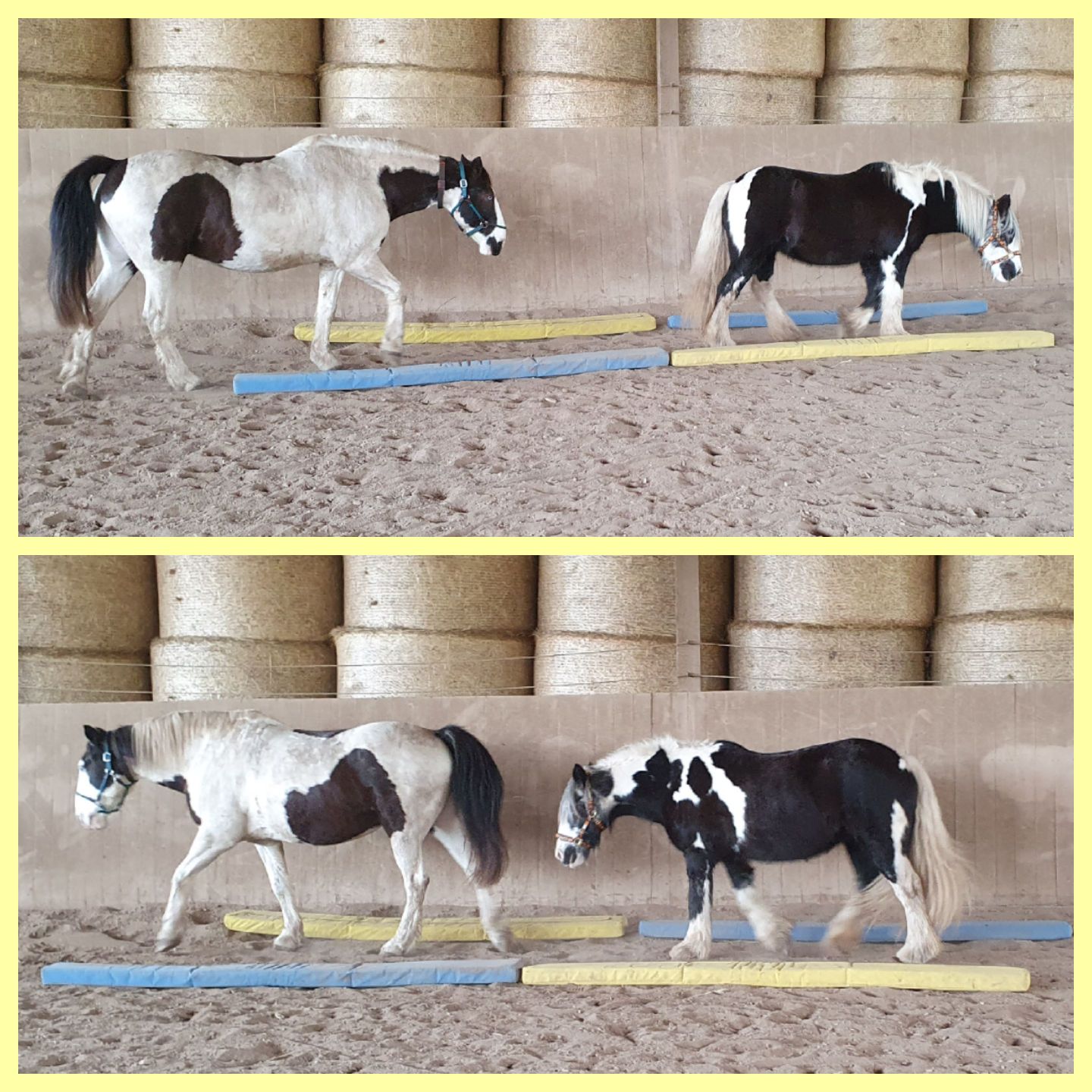 2023 12 Dezember 661